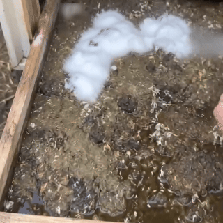Stavuth carpet foam — product image 11